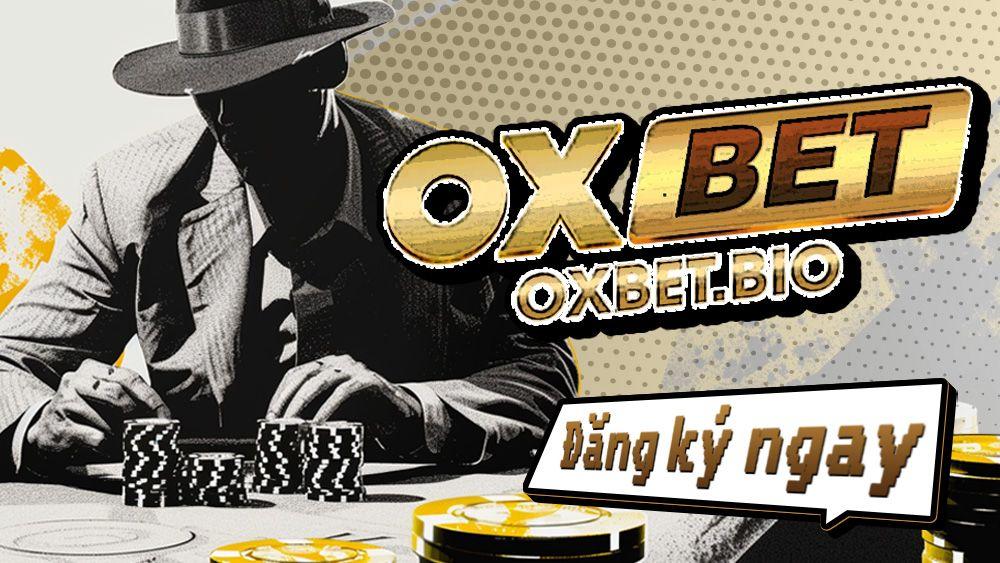 Khám phá ngay zing play ios và tải zing play ios bản mới nhất cho điện thoại