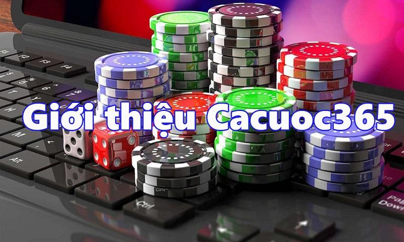 Khám phá royal vegas online casino và trải nghiệm giải trí tuyệt vời tại royal vegas online casino