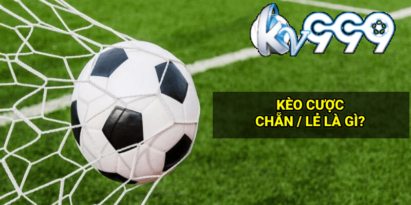 Khám phá Lucky Clucks và những bí mật thành công cùng Lucky Clucks