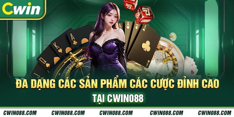 Khám phá thế giới ảnh liên độc đáo và đầy sáng tạo dành cho bạn